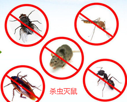 殺蟲滅鼠 殺蟲滅鼠