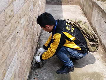 維護(hù)毒餌站