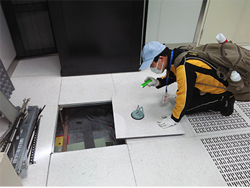 重慶滅鼠公司-滅鼠技巧